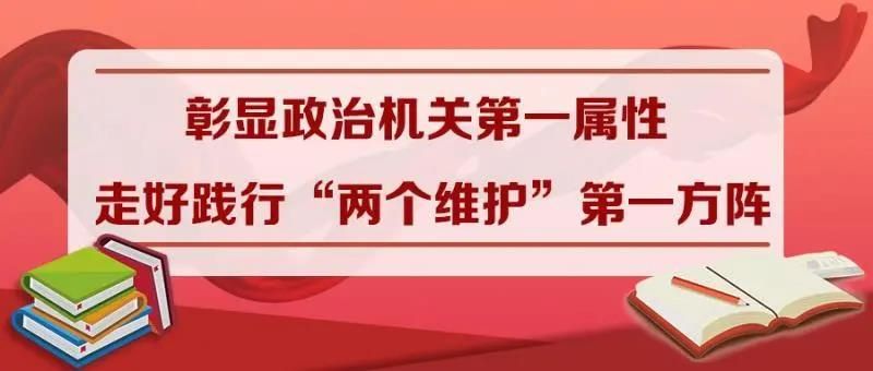 彰显政治机关第一属性 走好践行“两个维护”第一方阵  ——教育部党组成员“七一”讲专题党课综述